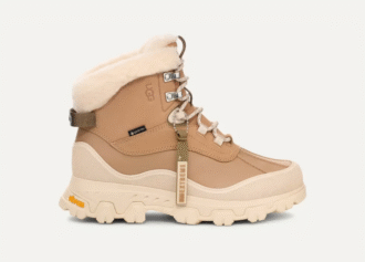 Adirondack Meridian Wanderer
