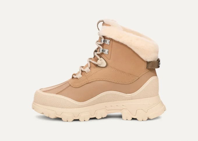 Adirondack Meridian Wanderer Adirondack Meridian Wanderer