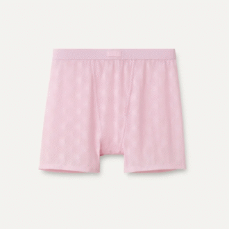 Alexiah Boy Short Mesh