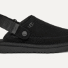 Goldenstar Clog