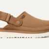 Goldenstar Clog