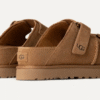 Goldenstar Hi Slide Goldenstar Hi Slide