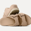 Goldenstar Hi Slide Goldenstar Hi Slide