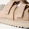 Goldenstar Hi Slide Goldenstar Hi Slide