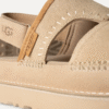 Goldenstar Regenerieren Goldenstar Regenerieren