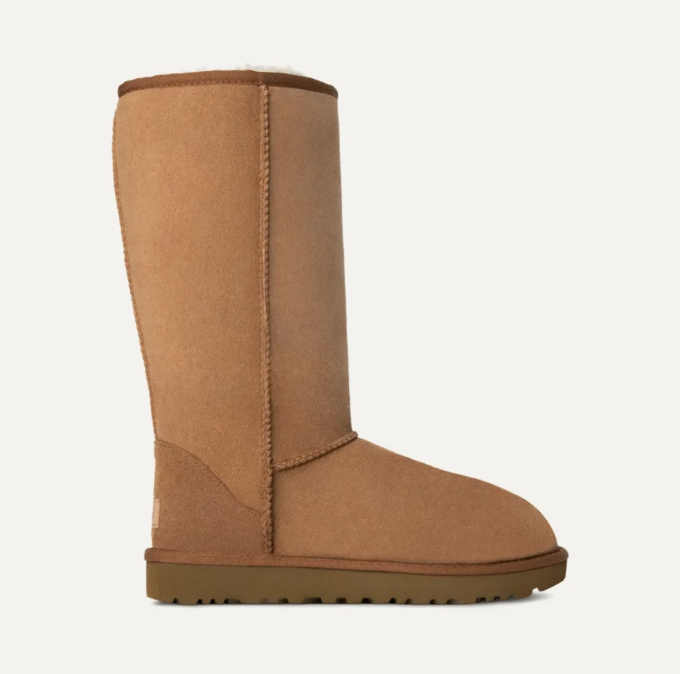 Klassischer hoher II Stiefel