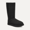Klassischer hoher II Stiefel