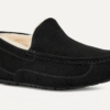 UGG Ascot