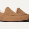 UGG Ascot