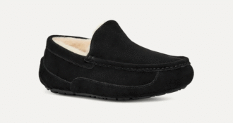 UGG Ascot