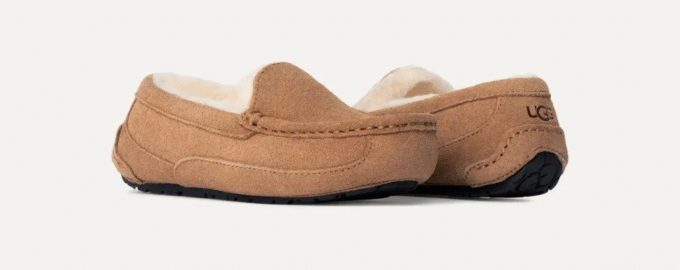 UGG Ascot