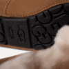 UGG Ascot