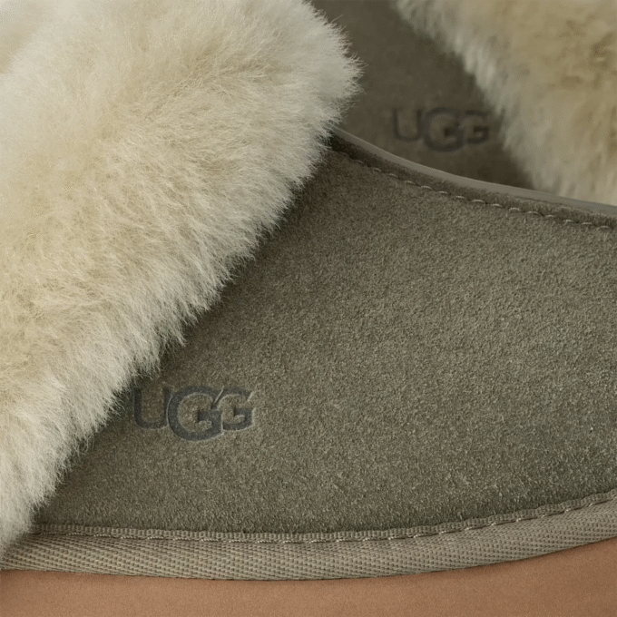 UGG Disquette